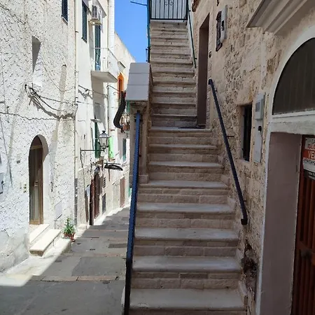 E Diffuse Nel Centro Storico Di Apartman